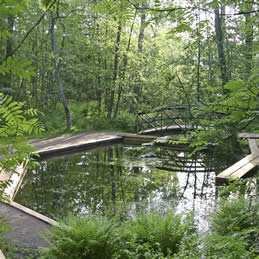 Runebergin lähde Runebergin lähde